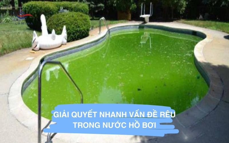 Giải Quyết Nhanh Vấn Đề Rêu Trong Nước Hồ Bơi