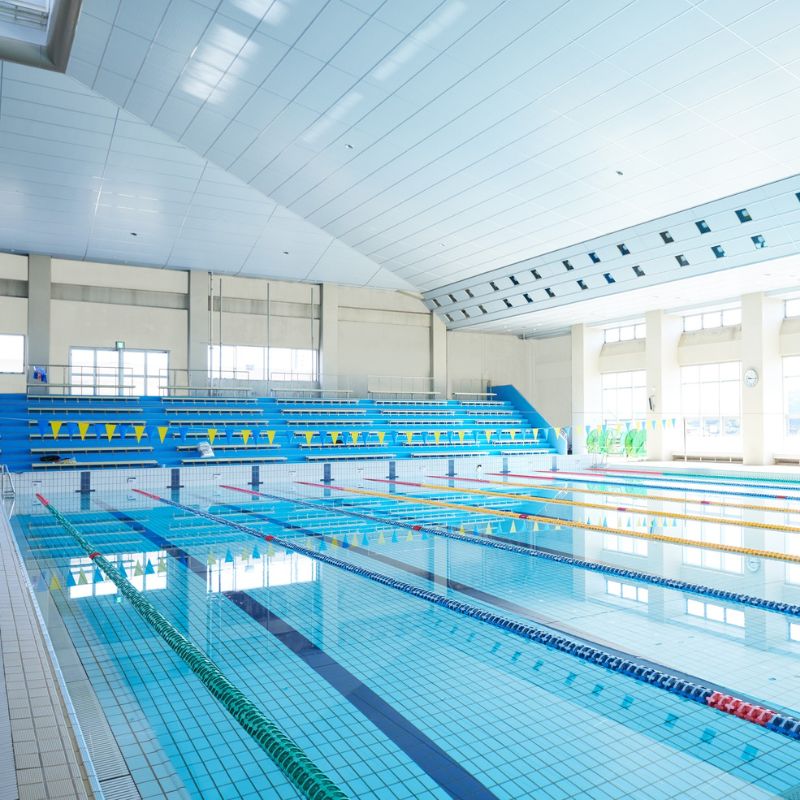 Bể bơi quân đội